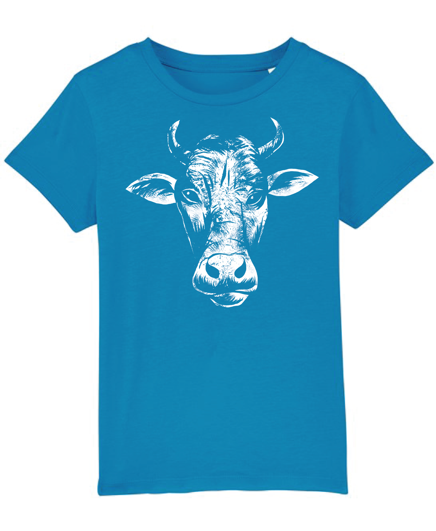 Boys New Azure Organic tee shirt with Bull print