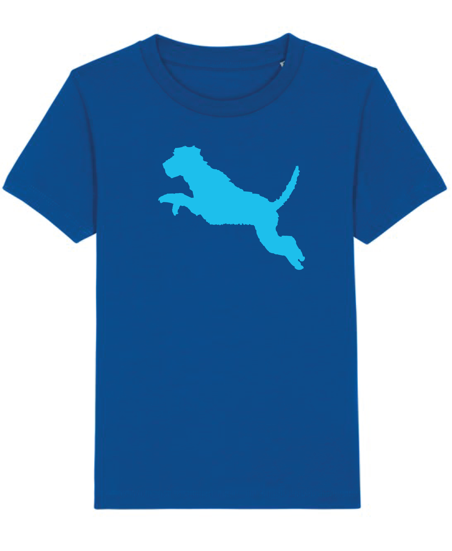 Boys New Blue Organic tee shirt with Wolfhound flock print