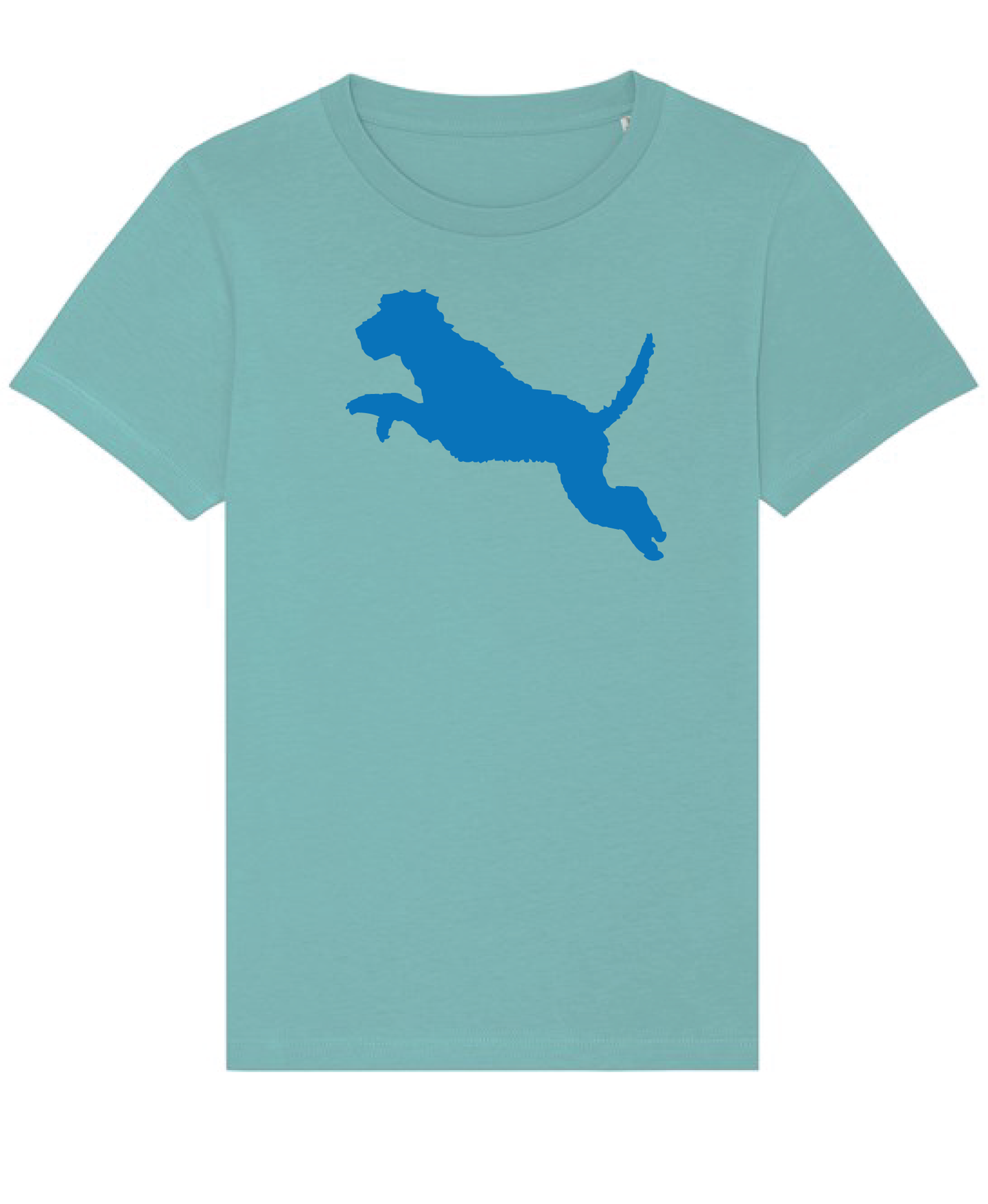 Boys New Teal Organic tee shirt with Wolfhound flock print.