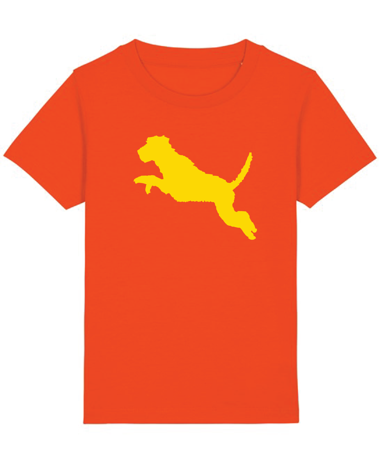 Boys New Tangerine Organic tee shirt with Wolfhound flock print